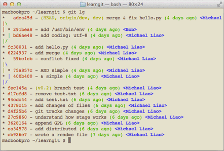 命令 git lg 示例图